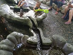 -成都市活水公园