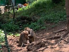 -南京金牛湖风景区