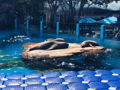 -海合安成都极地海洋公园