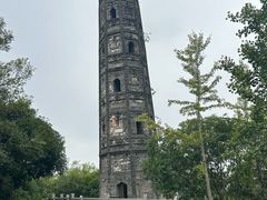 -上海佘山国家森林公园天马山园