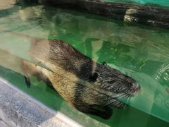 -广州长隆飞鸟乐园