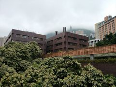 -香港大学