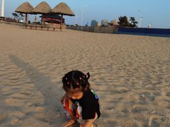 -那香海钻石沙滩浴场