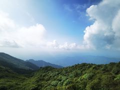 -大围山国家森林公园