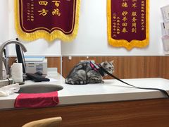 -宠福鑫动物医院·动物疾病诊疗中心(天通苑店)