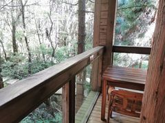 -武陵山森林公园