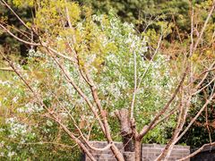 -鼎盛王朝康熙大典实景演出