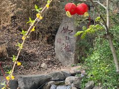 -天津盘山风景名胜区