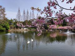 -莫愁湖公园