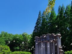 -音乐台
