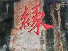 -杭州黄龙洞