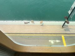 -Cupping Room(Harbour City)