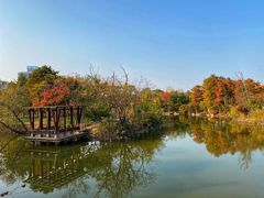 -上海吴淞炮台湾国家湿地公园