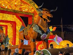 -淄博花灯齐彩城