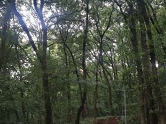 -紫金山山顶公园