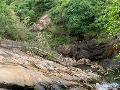 -广州白江湖森林公园