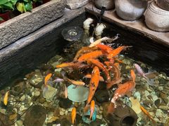 -有梦特色餐厅(古子城店)