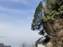-少华山国家森林公园