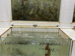 -海盗餐厅