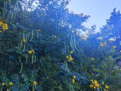 -大理苍山石门关旅游度假区