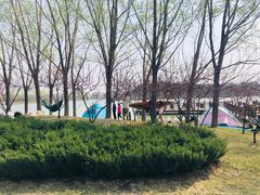 -塘沽森林公园