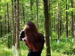 -艾溪湖湿地公园