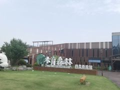 -黄海国家森林公园