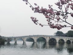 -重庆园博园