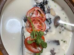 -全乐鱼馆·淳牌有机鱼直营店