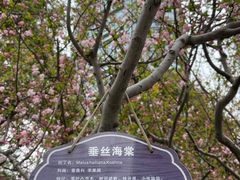 -陆家嘴中心绿地