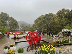 -南山植物园