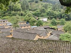 -杨家堂村