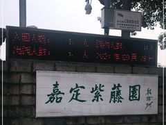 -嘉定紫藤园