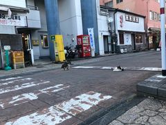 -水前寺成趣园