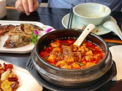 -陈麻婆豆腐总店