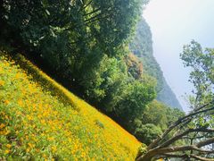 -西湖风景区-江洋畈生态公园