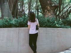 -九龙公园