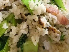 -舒蔡记生煎菜饭(云南中路店)