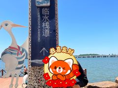-丁香湖公园