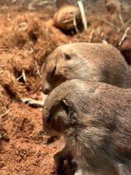 -Zoolung Zoolung动物主题公园(海信广场店)