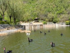-静之湖度假区