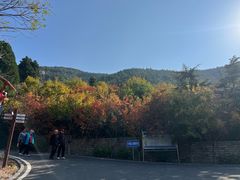 -佛慧山