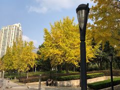 -苏州河梦清园环保主题公园