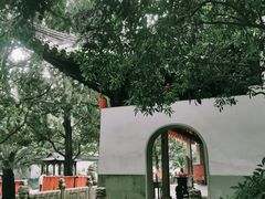 -秋霞圃
