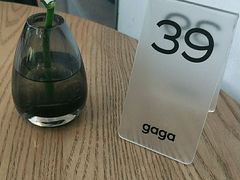 -gaga(深圳南山益田假日广场店)