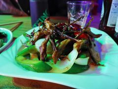 -猫头婴小酒馆FUN OWL(1912店)