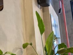 -一棠龙虾•王牌虾球(楚河汉街店)
