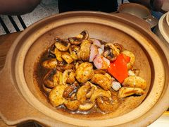 -青年公社烤鸭(蜀山万象汇店)