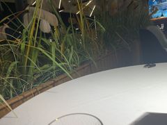 -味界·精致赣菜(招商花园城店)