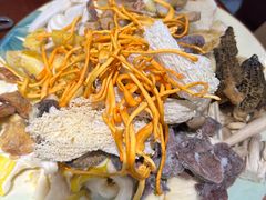 -菌之家·专业纯野生菌火锅·特色炒菌